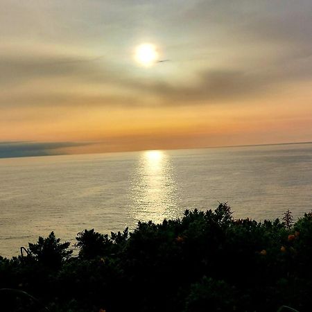 Apartamentos El Prau Ubiarco Dış mekan fotoğraf
